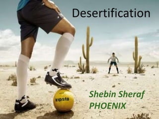 Shebin Sheraf
PHOENIX
 
