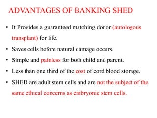 ADVANTAGES OF BANKING SHED 
• It Provides a guaranteed matching donor (autologous 
transplant) for life. 
• Saves cells before natural damage occurs. 
• Simple and painless for both child and parent. 
• Less than one third of the cost of cord blood storage. 
• SHED are adult stem cells and are not the subject of the 
same ethical concerns as embryonic stem cells. 
 