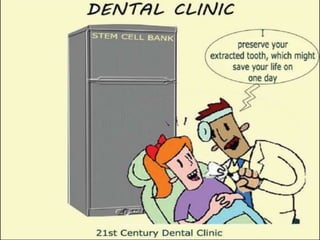 STEM CELLS IN HUMAN EXFOLIATED DECIDUOUS TEETH(SHED)