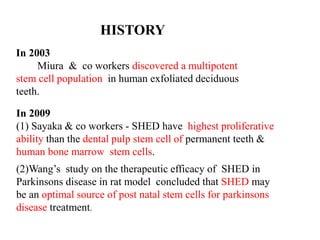HISTORY 
In 2003 
Miura & co workers discovered a multipotent 
stem cell population in human exfoliated deciduous 
teeth. 
In 2009 
(1) Sayaka & co workers - SHED have highest proliferative 
ability than the dental pulp stem cell of permanent teeth & 
human bone marrow stem cells. 
(2)Wang’s study on the therapeutic efficacy of SHED in 
Parkinsons disease in rat model concluded that SHED may 
be an optimal source of post natal stem cells for parkinsons 
disease treatment. 
 