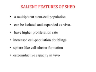 SALIENT FEATURES OF SHED 
• a multipotent stem-cell population. 
• can be isolated and expanded ex vivo. 
• have higher proliferation rate 
• increased cell-population doublings 
• sphere-like cell-cluster formation 
• osteoinductive capacity in vivo 
 
