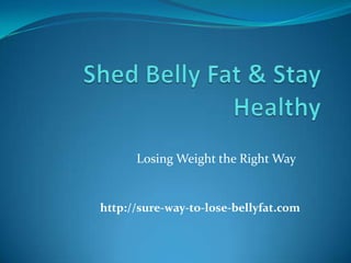 Losing Weight the Right Way


http://sure-way-to-lose-bellyfat.com
 
