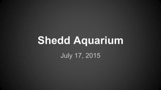 Shedd Aquarium
July 17, 2015
 