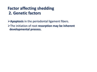 Factor affecting shedding
2. Genetic factors
Apoptosis in the periodontal ligament fibers.
The initiation of root resorption may be inherent
developmental process.
 