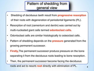 Shedding of deciduous teeth. | PPTX