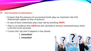 Shedding of the deciduous teeth | PPTX