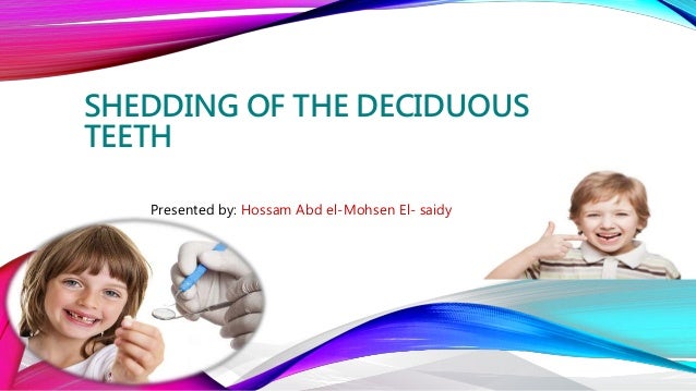 Shedding of the deciduous teeth