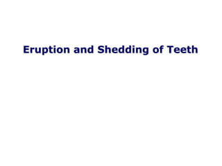 Eruption and Shedding of Teeth
 