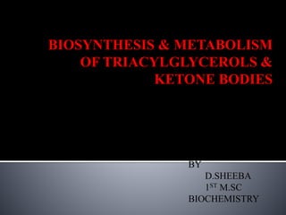 BIOSYNTHESIS & METABOLISM
OF TRIACYLGLYCEROLS &
KETONE BODIES
BY
D.SHEEBA
1ST M.SC
BIOCHEMISTRY
 