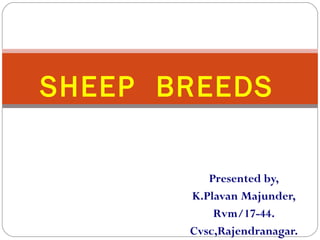 Presented by,
K.Plavan Majunder,
Rvm/17-44.
Cvsc,Rajendranagar.
SHEEP BREEDS
 