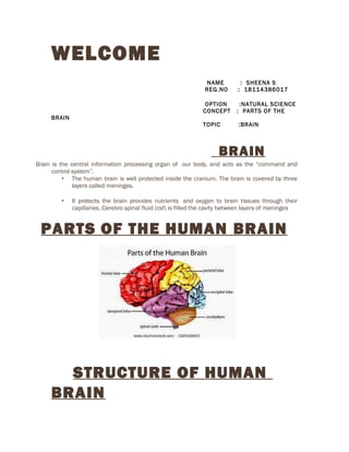 WELCOME
NAME : SHEENA S
REG.NO : 18114386017
OPTION :NATURAL SCIENCE
CONCEPT : PARTS OF THE
BRAIN
TOPIC :BRAIN
BRAIN
Brain is the central information processing organ of our body, and acts as the “command and
control system”.
• The human brain is well protected inside the cranium. The brain is covered by three
layers called meninges.
• It protects the brain provides nutrients and oxygen to brain tissues through their
capillaries. Cerebro spinal fluid (csf) is filled the cavity between layers of meninges
PARTS OF THE HUMAN BRAIN
STRUCTURE OF HUMAN
BRAIN
 