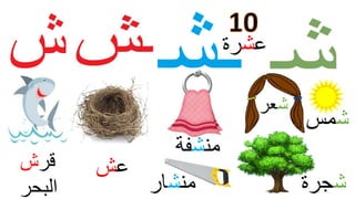 ‫ش‬‫مس‬
‫ش‬‫عر‬
‫ش‬‫جرة‬‫من‬‫ش‬‫ار‬
‫من‬‫ش‬‫فة‬
‫ع‬‫ش‬‫قر‬‫ش‬
‫البحر‬
‫ع‬‫ش‬‫رة‬
 