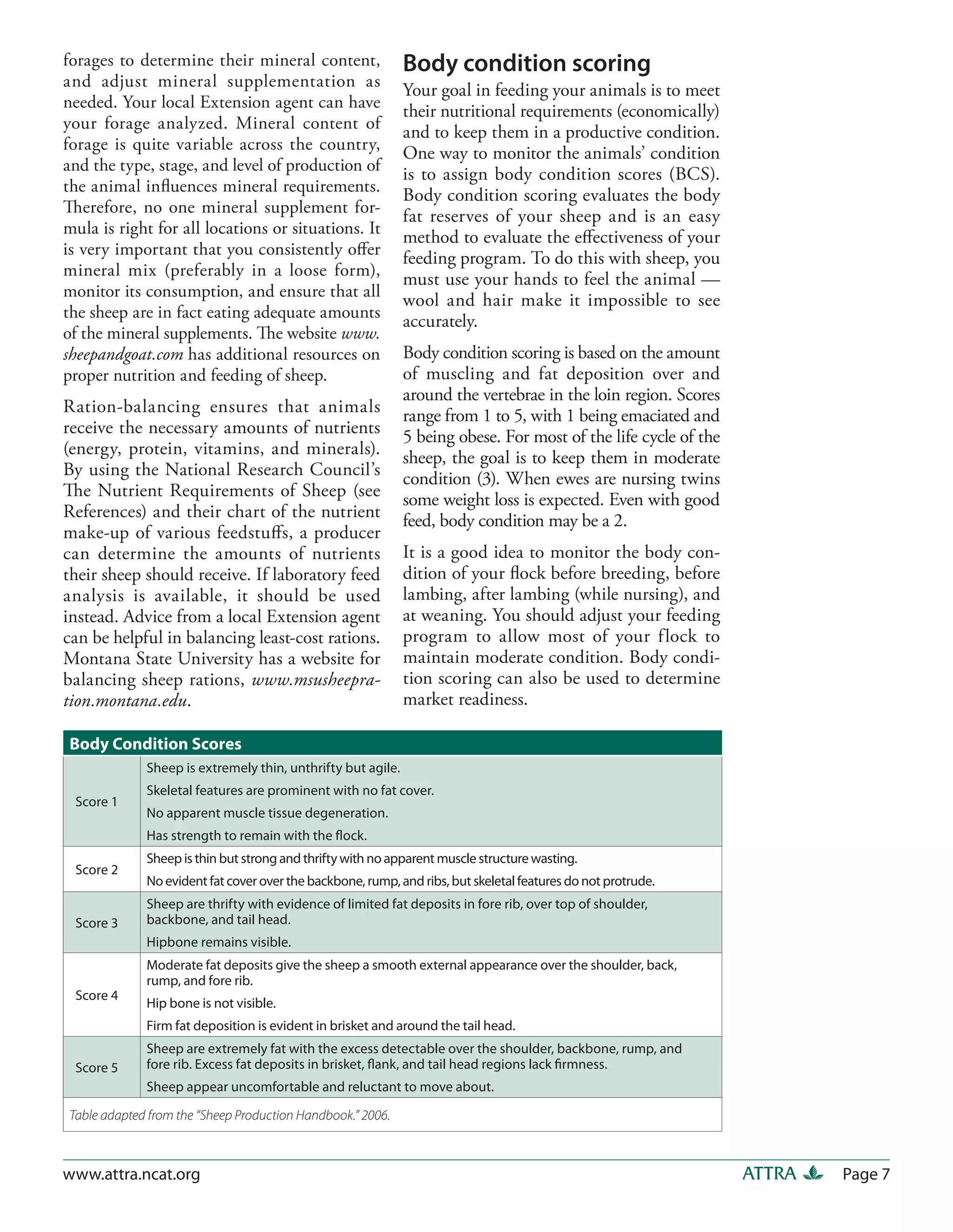 Sheep: Sustainable and Organic Production | PDF