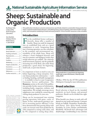 A project of the National Center for Appropriate Technology                           1-800-346-9140 • www.attra.ncat.org


Sheep: Sustainable and
Organic Production
By Margo Hale,                               This publication introduces concerns and practices specifically related to sustainable sheep production.
Linda Coffey                                 Topics covered include breed selection, controlled grazing, pasture lambing, alternative health manage-
NCAT Program                                 ment, and innovative marketing of meat and wool products. A list of further resources is also included.
Specialists
                                             Introduction
Ann Bartlett,



                                             F
Chelsey Ahrens                                      or the established farmer seeking to
NCAT Interns                                        diversify, sheep offer a number of
© 2010 NCAT                                         benefits. Sheep can easily be integrated
                                             into an established farm and are a good
Contents                                     complement to cattle. Integrating sheep
Introduction ......................1         into a farming operation can also contribute
Breed selection ................1            to the economic and environmental sus-
Feeding ruminants .........3                 tainability of the whole farm. Sheep will
Reproduction....................8            enhance a farm’s biological diversity and
Health ..................................9   may fit economic and biological niches that
Facilities ........................... 12
                                             would otherwise go unfilled. The relatively
Marketing ........................ 13
                                             small investment required, and the gradually
                                             increasing size of the flock, also make sheep
Organic production..... 17
                                             production a good choice for beginning,
Economics....................... 20
                                             small-scale, or part-time farmers.
Conclusion ...................... 22
References ...................... 22         It is important to learn as much as you can          Sheep production is a good choice for beginning,
Further resources ......... 22               before beginning a sheep enterprise. Gen-            small-scale, or part-time farmers. Photo by Linda
                                             eral sheep production information — such             Coffey, NCAT.
                                             as feeding, breeding, and health management
                                             — is available in local or state Cooperative         (Walker, 1994) See the ATTRA publication
                                             Extension Service publications. The                  Multispecies Grazing for more information.
                                             Resources section at the end of this publica-
                                             tion provides further sources of information,        Breed selection
                                             including books, magazines, websites, and
                                             organizations. We strongly encourage you to          Breed selection is based on the intended
                                             supplement your reading by contacting and            market(s), on local climate, and personal
                                             visiting sheep producers in your area.               preference. Breeds can be divided into eight
ATTRA—National Sustainable
Agriculture Information Service                                                                   categories.
(www.attra.ncat.org) is man-
                                             Sheep can be incorporated into existing
aged by the National Center for              grazing operations with goats, cattle, or            What breed(s) you choose to work with will
Appropriate Technology (NCAT)
and is funded under a grant from
                                             horses. In fact, multi-species grazing is use-       depend on your needs and interests. Common
the United States Department                 ful in increasing pasture efficiency. It has         breeds are Suffolk, Hampshire, Rambouillet,
of Agriculture’s Rural Business-
Cooperative Service. Visit the
                                             been demonstrated that grazing sheep with            and Dorset. Hair sheep breeds include
NCAT website (www.ncat.org/                  cattle can increase total meat production by         Katahdin, St. Croix, Dorper, and Barbados
sarc_current.php) for
more information on
                                             24% compared to raising cattle alone, and            Blackbelly. All breeds have advantages and
our sustainable agri-                        by 9% compared to raising sheep alone.               disadvantages. Crossbreeding is very common
culture projects.
 