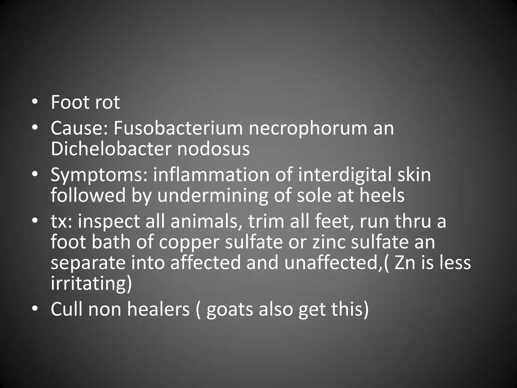 • Foot rot
• Cause: Fusobacterium necrophorum an
  Dichelobacter nodosus
• Symptoms: inflammation of interdigital skin
  followed by undermining of sole at heels
• tx: inspect all animals, trim all feet, run thru a
  foot bath of copper sulfate or zinc sulfate an
  separate into affected and unaffected,( Zn is less
  irritating)
• Cull non healers ( goats also get this)
 