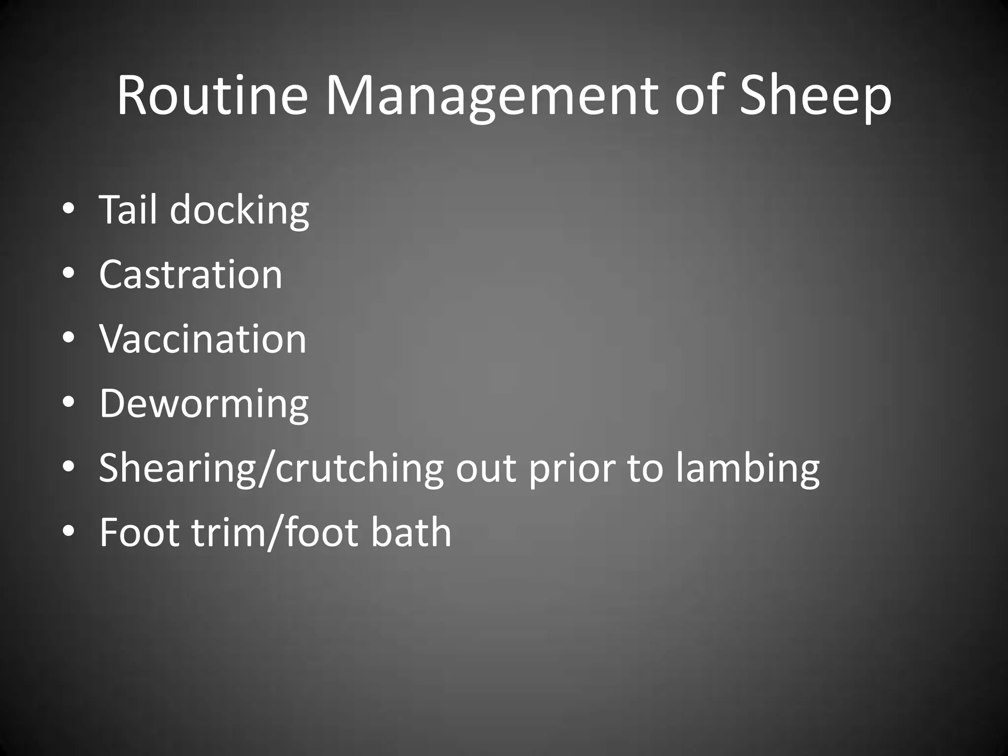 Routine Management of Sheep
•   Tail docking
•   Castration
•   Vaccination
•   Deworming
•   Shearing/crutching out prior to lambing
•   Foot trim/foot bath
 