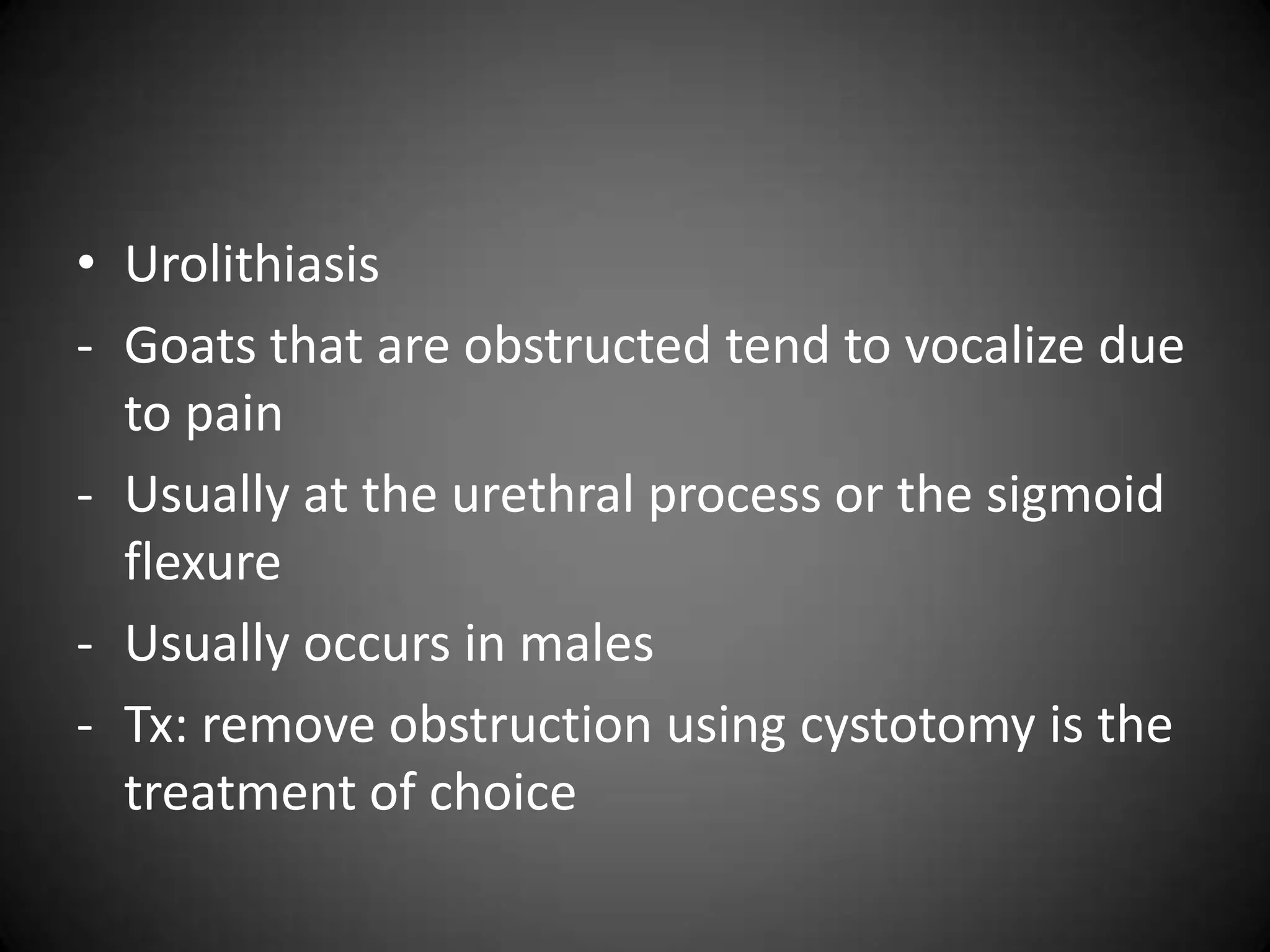 • Urolithiasis
- Goats that are obstructed tend to vocalize due
  to pain
- Usually at the urethral process or the sigmoid
  flexure
- Usually occurs in males
- Tx: remove obstruction using cystotomy is the
  treatment of choice
 