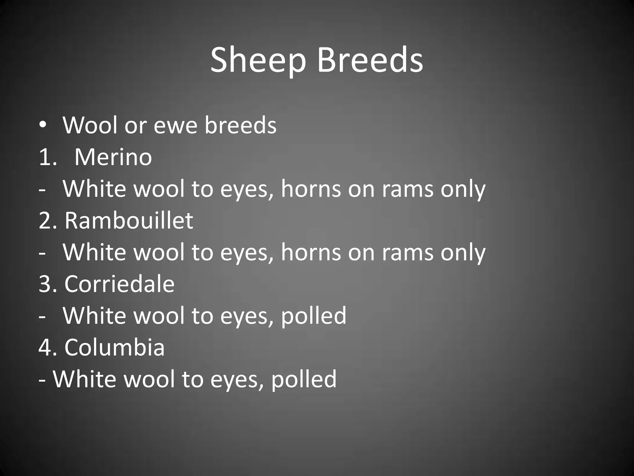 Sheep Breeds
• Wool or ewe breeds
1. Merino
- White wool to eyes, horns on rams only
2. Rambouillet
- White wool to eyes, horns on rams only
3. Corriedale
- White wool to eyes, polled
4. Columbia
- White wool to eyes, polled
 
