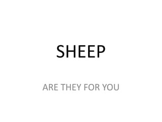 SHEEP
ARE THEY FOR YOU

 