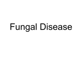 Fungal Disease 