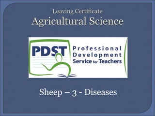 Sheep – 3 - Diseases
 