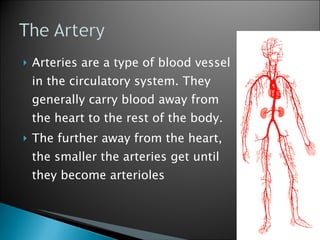 Arteries are a type of blood vessel in the circulatory system. They generally carry blood away from the heart to the rest of the body. The further away from the heart, the smaller the arteries get until they become arterioles 