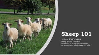 Sheep 101
SUSAN SCHOENIAN
Sheep & Goat Specialist
University of Maryland Extension
sschoen@umd.edu | sheep101.info
 