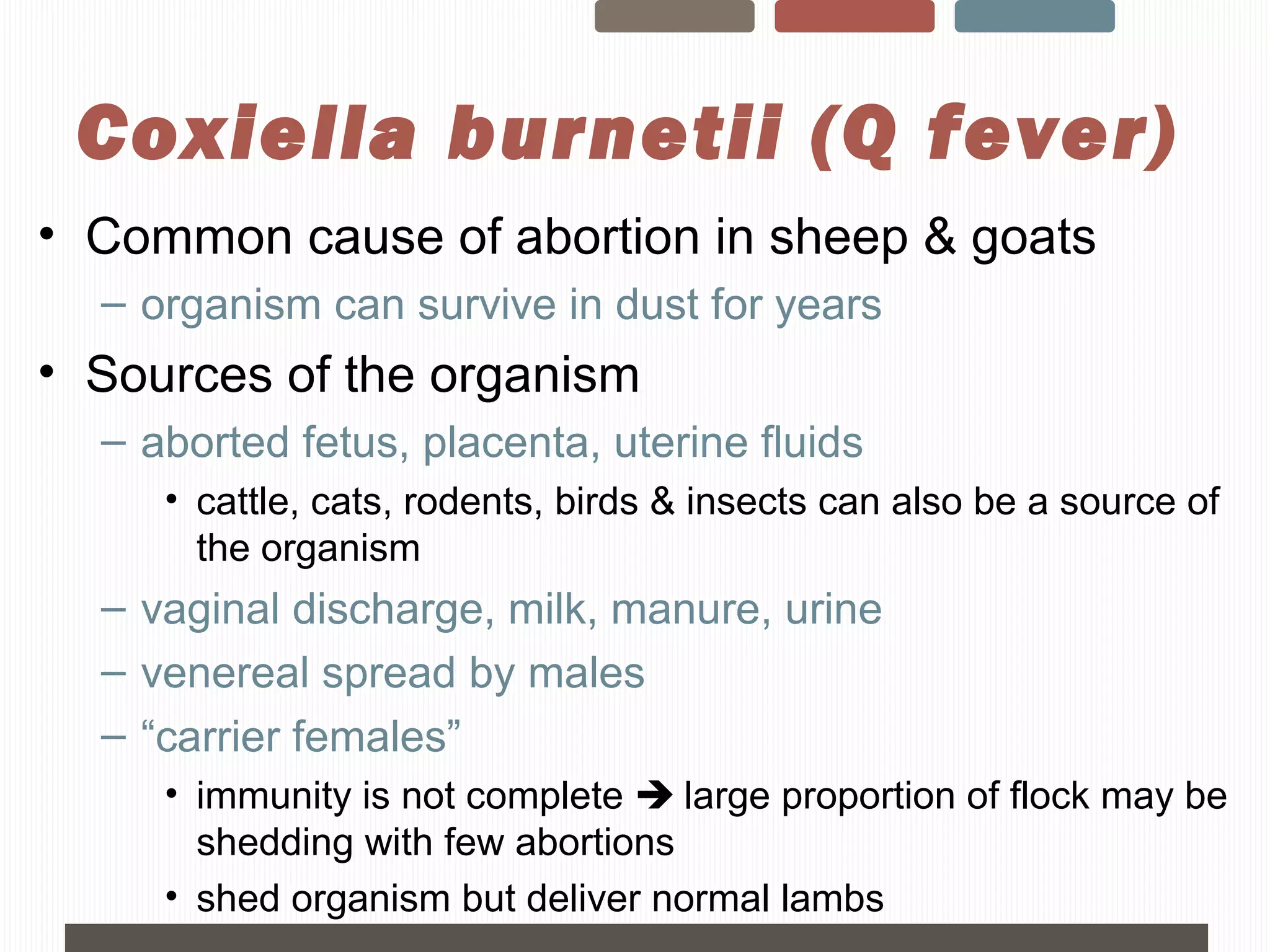 Sheep Day - Sheep Abortions, Jocelyn Jansen | PPT | Pregnancy ...