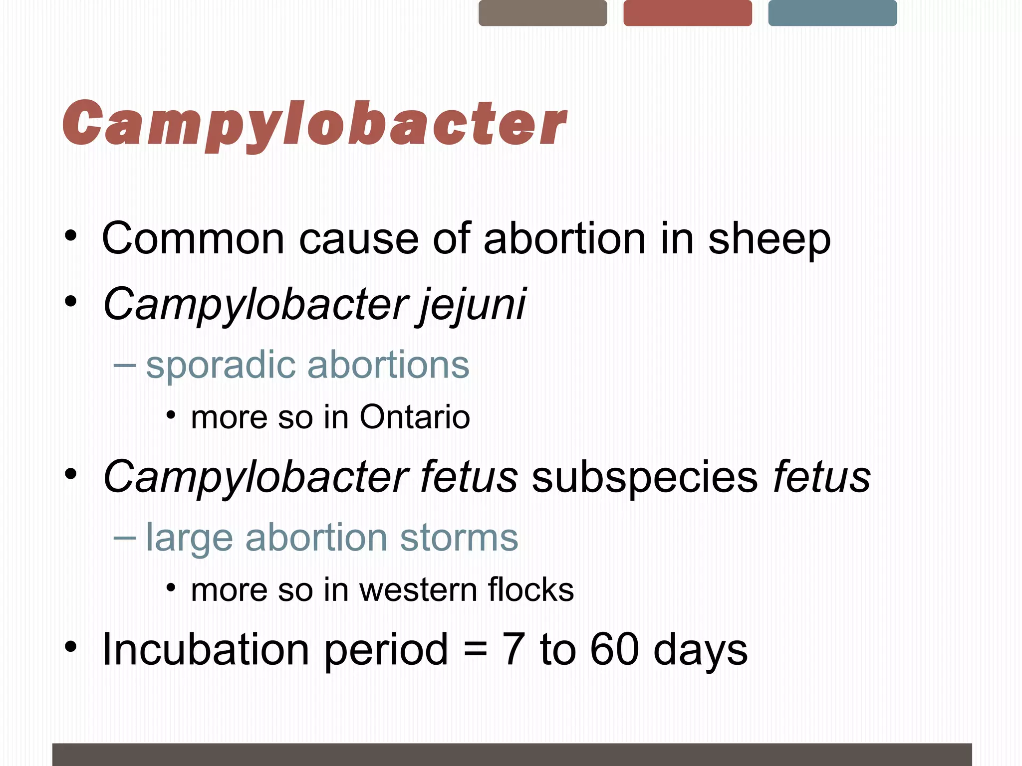 Sheep Day - Sheep Abortions, Jocelyn Jansen | PPT | Pregnancy ...
