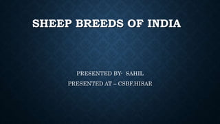 SHEEP BREEDS OF INDIA
PRESENTED BY- SAHIL
PRESENTED AT – CSBF,HISAR
 