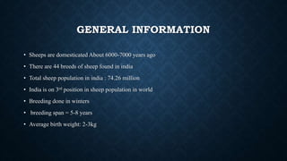 GENERAL INFORMATION
• Sheeps are domesticated About 6000-7000 years ago
• There are 44 breeds of sheep found in india
• Total sheep population in india : 74.26 million
• India is on 3rd position in sheep population in world
• Breeding done in winters
• breeding span = 5-8 years
• Average birth weight: 2-3kg
 
