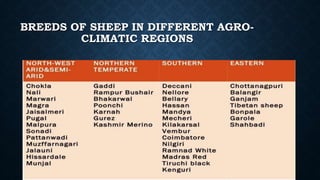 BREEDS OF SHEEP IN DIFFERENT AGRO-
CLIMATIC REGIONS
 