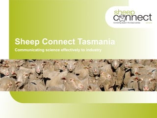 Sheep Connect Tasmania Communicating science effectively to industry 