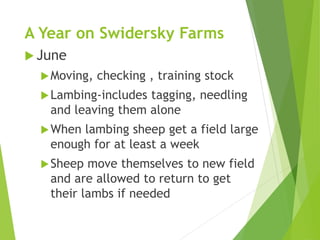 A Year on Swidersky Farms
 June
Moving, checking , training stock
Lambing-includes tagging, needling
and leaving them alone
When lambing sheep get a field large
enough for at least a week
Sheep move themselves to new field
and are allowed to return to get
their lambs if needed
 