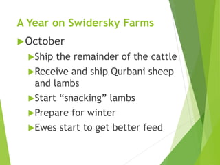 A Year on Swidersky Farms
October
Ship the remainder of the cattle
Receive and ship Qurbani sheep
and lambs
Start “snacking” lambs
Prepare for winter
Ewes start to get better feed
 