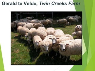 Gerald te Velde, Twin Creeks Farm
 