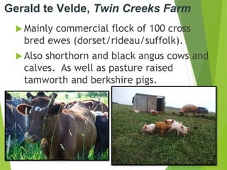 Gerald te Velde, Twin Creeks Farm
 Mainly commercial flock of 100 cross
bred ewes (dorset/rideau/suffolk).
 Also shorthorn and black angus cows and
calves. As well as pasture raised
tamworth and berkshire pigs.
 