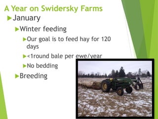 A Year on Swidersky Farms
January
Winter feeding
Our goal is to feed hay for 120
days
<1round bale per ewe/year
No bedding
Breeding
 