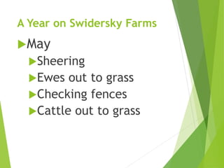 A Year on Swidersky Farms
May
Sheering
Ewes out to grass
Checking fences
Cattle out to grass
 