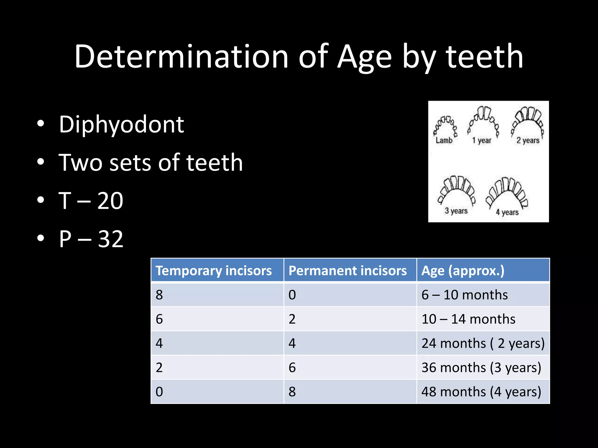 Determination of Age by teeth
• Diphyodont
• Two sets of teeth
• T – 20
• P – 32
Temporary incisors Permanent incisors Age (approx.)
8 0 6 – 10 months
6 2 10 – 14 months
4 4 24 months ( 2 years)
2 6 36 months (3 years)
0 8 48 months (4 years)
 