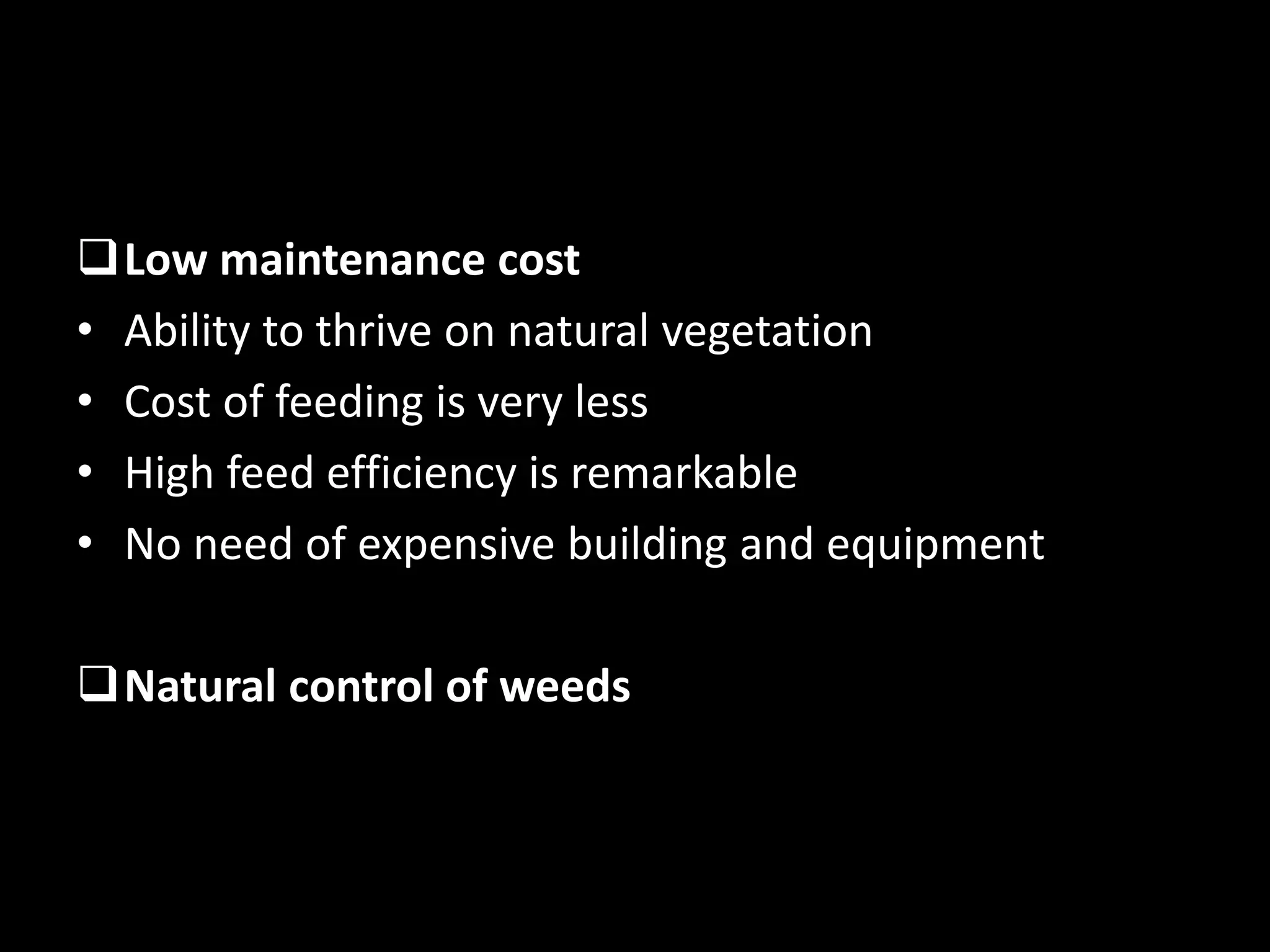 Low maintenance cost
• Ability to thrive on natural vegetation
• Cost of feeding is very less
• High feed efficiency is remarkable
• No need of expensive building and equipment
Natural control of weeds
 