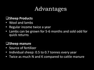 AdAdvantages
Sheep Products
• Wool and lambs
• Regular income twice a year
• Lambs can be grown for 5-6 months and sold odd for
quick returns
Sheep manure
• Source of fertilizer
• Individual sheep: 0.5 to 0.7 tonnes every year
• Twice as much N and K compared to cattle manure
 