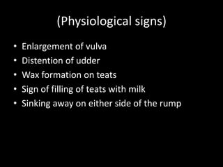 (Physiological signs)
• Enlargement of vulva
• Distention of udder
• Wax formation on teats
• Sign of filling of teats with milk
• Sinking away on either side of the rump
 