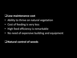Low maintenance cost
• Ability to thrive on natural vegetation
• Cost of feeding is very less
• High feed efficiency is remarkable
• No need of expensive building and equipment
Natural control of weeds
 