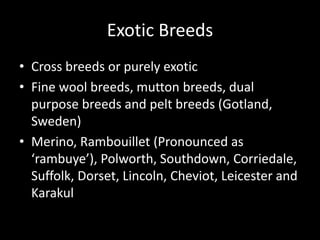 Exotic Breeds
• Cross breeds or purely exotic
• Fine wool breeds, mutton breeds, dual
purpose breeds and pelt breeds (Gotland,
Sweden)
• Merino, Rambouillet (Pronounced as
‘rambuye’), Polworth, Southdown, Corriedale,
Suffolk, Dorset, Lincoln, Cheviot, Leicester and
Karakul
 