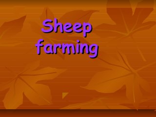 SheepSheep
farmingfarming
 