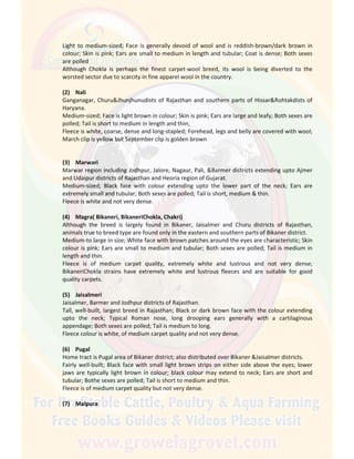 Light to medium-sized; Face is generally devoid of wool and is reddish-brown/dark brown in
colour; Skin is pink; Ears are small to medium in length and tubular; Coat is dense; Both sexes
are polled
Although Chokla is perhaps the finest carpet-wool breed, its wool is being diverted to the
worsted sector due to scarcity in fine apparel wool in the country.
(2) Nali
Ganganagar, Churu&Jhunjhunudists of Rajasthan and southern parts of Hissar&Rohtakdists of
Haryana.
Medium-sized; Face is light brown in colour; Skin is pink; Ears are large and leafy; Both sexes are
polled; Tail is short to medium in length and thin;
Fleece is white, coarse, dense and long-stapled; Forehead, legs and belly are covered with wool;
March clip is yellow but September clip is golden brown
(3) Marwari
Marwar region including Jodhpur, Jalore, Nagaur, Pali, &Barmer districts extending upto Ajmer
and Udaipur districts of Rajasthan and Heoria region of Gujarat.
Medium-sized; Black face with colour extending upto the lower part of the neck; Ears are
extremely small and tubular; Both sexes are polled; Tail is short, medium & thin.
Fleece is white and not very dense.
(4) Magra( Bikaneri, BikaneriChokla, Chakri)
Although the breed is largely found in Bikaner, Jaisalmer and Churu districts of Rajasthan,
animals true to breed type are found only in the eastern and southern parts of Bikaner district.
Medium-to large in size; White face with brown patches around the eyes are characteristic; Skin
colour is pink; Ears are small to medium and tubular; Both sexes are polled; Tail is medium in
length and thin.
Fleece is of medium carpet quality, extremely white and lustrous and not very dense;
BikaneriChokla strains have extremely white and lustrous fleeces and are suitable for good
quality carpets.
(5) Jaisalmeri
Jaisalmer, Barmer and Jodhpur districts of Rajasthan.
Tall, well-built, largest breed in Rajasthan; Black or dark brown face with the colour extending
upto the neck; Typical Roman nose, long drooping ears generally with a cartilaginous
appendage; Both sexes are polled; Tail is medium to long.
Fleece colour is white, of medium carpet quality and not very dense.
(6) Pugal
Home tract is Pugal area of Bikaner district; also distributed over Bikaner &Jaisalmer districts.
Fairly well-built; Black face with small light brown strips on either side above the eyes; lower
jaws are typically light brown in colour; black colour may extend to neck; Ears are short and
tubular; Bothe sexes are polled; Tail is short to medium and thin.
Fleece is of medium carpet quality but not very dense.
(7) Malpura
 