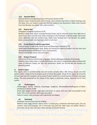 (11) Ramand White
Ramand district and adjoining areas of Tirunelveli district of TN.
Medium-sized. Predominantly white, though some animals have fawn or black markings over
the body. Ears are medium-sized and directed outward and downward. Males have twisted
horns but females are polled. Tail is short and thin.
(12) Madras Red
Chingalpet and Madras districts of TN.
Medium-sized. Body colour is predominantly brown and its intensity varies from light tan to
dark brown. Some animals have white markings on the forehead, inside the thighs and on the
lower abdomen. Ears are medium-long. Males have twisted horns but females are polled.
Body is covered with very short hair which is not shorn.
(13) Tiruchi Black (TiruchiKarungurmbai)
Parts of Tiruchi, South Arcot, North Arcot and Dharmapuri districts of TN.
Small-sized.Completely black body. Males are horned but ewes are polled. Ears are short and
directed downward and forward. Tail is short and thin.
Fleece is extremely coarse, hairy and open.
(14) Kenguri (Tenguri)
Hilly tracts of Raichur district (esp. Lingsugur, Sethanur&Gangavatitaluks) of Karnataka.
Medium-sized. Body colour is mostly dark brown, but colours ranging from white to black with
spots of different shades are also not uncommon. Males are horned but the females are
generally polled.
c) Eastern region
This region, which is predominantly hot and humid, includes Bihar, WB, Orissa, Assam and othe
eastern states. Sheep primarily produce wool of below 36s quality. Sheep of this region are primarily
of meat type with the exception of Arunachal Pradesh which has a small number of better wool-type
sheep. The wool produced by the sheep of this region is extremely coarse, coloured and of hairy
quality.
(1) Chottanagpuri
Chottanagpur, Ranchi, Palamau, Hazaribagh, Singbhum, Dhanbad&SanthalParganas of Bihar,
and Bankura district of WB.
Small, light-weight animals. Light grey and brown in colour. Ears are small and parallel to the
head. Tail is short and thin. Both sexes are polled.
Fleece is coarse, hairy and open and is generally not clipped.
(2) Shahabadi
Shahabad, Patna & Gaya districts of Bihar.
Medium-sized, leggy animals. Fleece colour is mostly grey, sometimes with black spots. Ears are
medium sized and drooping. Tail is extremely long and thin. Both sexes are polled. Fleece is
extremely coarse, hairy and open. Belly and legs are devoid of wool.
 