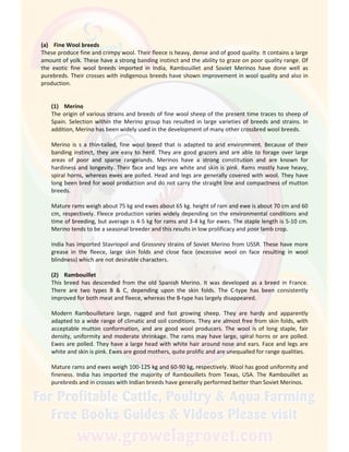 (a) Fine Wool breeds
These produce fine and crimpy wool. Their fleece is heavy, dense and of good quality. It contains a large
amount of yolk. These have a strong banding instinct and the ability to graze on poor quality range. Of
the exotic fine wool breeds imported in India, Rambouillet and Soviet Merinos have done well as
purebreds. Their crosses with indigenous breeds have shown improvement in wool quality and also in
production.
(1) Merino
The origin of various strains and breeds of fine wool sheep of the present time traces to sheep of
Spain. Selection within the Merino group has resulted in large varieties of breeds and strains. In
addition, Merino has been widely used in the development of many other crossbred wool breeds.
Merino is s a thin-tailed, fine wool breed that is adapted to arid environment. Because of their
banding instinct, they are easy to herd. They are good grazers and are able to forage over large
areas of poor and sparse rangelands. Merinos have a strong constitution and are known for
hardiness and longevity. Their face and legs are white and skin is pink. Rams mostly have heavy,
spiral horns, whereas ewes are polled. Head and legs are generally covered with wool. They have
long been bred for wool production and do not carry the straight line and compactness of mutton
breeds.
Mature rams weigh about 75 kg and ewes about 65 kg. height of ram and ewe is about 70 cm and 60
cm, respectively. Fleece production varies widely depending on the environmental conditions and
time of breeding, but average is 4-5 kg for rams and 3-4 kg for ewes. The staple length is 5-10 cm.
Merino tends to be a seasonal breeder and this results in low prolificacy and poor lamb crop.
India has imported Stavriopol and Grossney strains of Soviet Merino from USSR. These have more
grease in the fleece, large skin folds and close face (excessive wool on face resulting in wool
blindness) which are not desirable characters.
(2) Rambouillet
This breed has descended from the old Spanish Merino. It was developed as a breed in France.
There are two types B & C, depending upon the skin folds. The C-type has been consistently
improved for both meat and fleece, whereas the B-type has largely disappeared.
Modern Rambouilletare large, rugged and fast growing sheep. They are hardy and apparently
adapted to a wide range of climatic and soil conditions. They are almost free from skin folds, with
acceptable mutton conformation, and are good wool producers. The wool is of long staple, fair
density, uniformity and moderate shrinkage. The rams may have large, spiral horns or are polled.
Ewes are polled. They have a large head with white hair around nose and ears. Face and legs are
white and skin is pink. Ewes are good mothers, quite prolific and are unequalled for range qualities.
Mature rams and ewes weigh 100-125 kg and 60-90 kg, respectively. Wool has good uniformity and
fineness. India has imported the majority of Rambouillets from Texas, USA. The Rambouillet as
purebreds and in crosses with Indian breeds have generally performed better than Soviet Merinos.
 