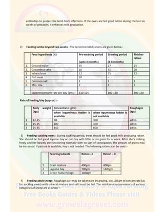 antibodies to protect the lamb from infections. If the ewes are fed good ration during the last six
weeks of gestation, it enhances milk production.
2) Feeding lambs beyond two weeks : The recommended rations are given below:-
Feed ingredients (%) Pre-weaning period
(upto 3 months)
Growing period
(3-6 months)
Finisher
ration
1. Ground maize 65 27 25
2. Groundnut cake 10 35 20
3. Wheat bran 12 35 52
4. Fish meal 10 - -
5. Common salt 1 1 1
6. Min. mix. 2 2 2
Expected growth rate per day (gms) 110-125 100-120 100-120
Rate of feeding/day (approx) :-
Body weight
(kgs)
Concentrate (gms) Roughages
(kgs)when leguminous fodder is
available
when leguminous fodder is
not available
1 12-15 50 300 ad lib.
2 15-25 100 400 ad lib.
3 25-35 150 600 ad lib.
3) Feeding suckling ewes : During suckling period, ewes should be fed good milk producing ration.
She should be fed good legume hay or oat hay with little or no grain for a week. After she’s milking
freely and her bowels are functioning normally with no sign of constipation, the amount of grains may
be increased. If pasture is available, hay is not needed. The following rations can be used :-
Feed ingredients Ration – I Ration – II
1 Grain mixture 400gm 400gm
2 Legume hay 700gm 1400gm
3 Green fodder/silage 1400gm -
4) Feeding adult sheep : Roughage part may be taken care by grazing, but 150 gm of concentrate (as
for suckling ewes) with mineral mixture and salt must be fed. The nutritional requirements of various
categories of sheep are as under :-
 